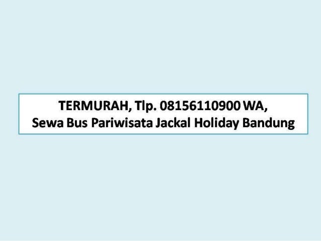 Bus Pariwisata Jackal Holiday Bandung