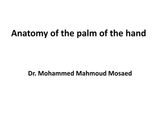 Anatomy of the palm of the hand
Dr. Mohammed Mahmoud Mosaed
 