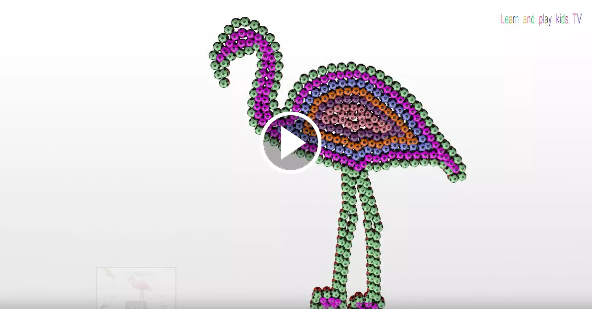 learn birds sounds and names for children with colorful soccer balls ...