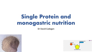 Single Protein and
monogastric nutrition
Dr David Cadogan
 