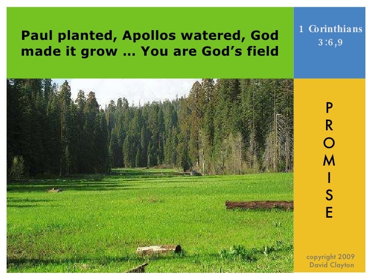 Colossians 267 Pictures of Faith