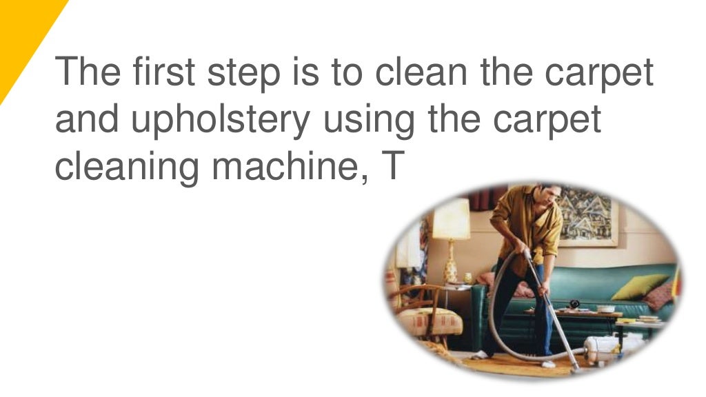 Tips for Removing Fleas and Ticks from Carpet and Upholstery