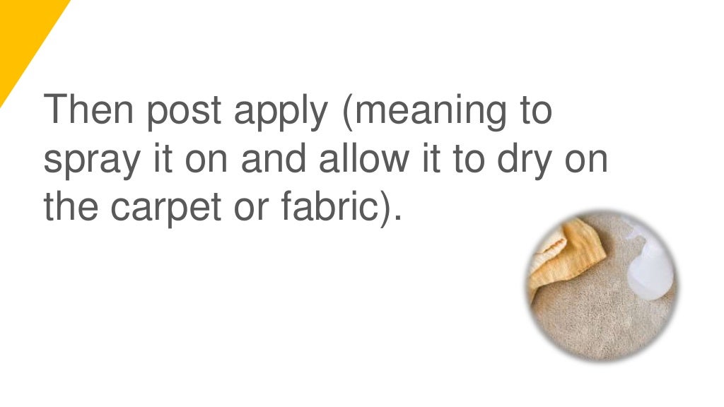 Tips for Removing Fleas and Ticks from Carpet and Upholstery