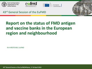43rd General Session of the EuFMD Rome, 17-18 April 2019
43rd General Session of the EuFMD43rd General Session of the EuFMD
Report on the status of FMD antigen
and vaccine banks in the European
region and neighbourhood
Kiril KRSTEVSKI, EuFMD
 