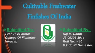 Submitted To:-
Prof. H.V.Parmar
College Of Fisheries,
Veraval.
Submitted By:-
Raj M. Dabhi
J3-00306-2014
Roll No. :- 10
B.F.Sc 5th Semester
Cultivable Freshwater
Finfishes Of India
 