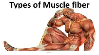 Types of Muscle fiber
• Slow twitch (I) fibers innervated by alpha 2 motor neurons,
smaller of the two α motor neurons
• Fast twitch (II) fibers innervated by alpha 1 motor neurons,
larger of the two α motor neurons
• Fast twitch (II) fibers have higher excitation threshold and
faster conduction velocity
DR Phiri S B
 