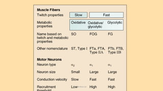 Properties of motor units
DR Phiri S B
 