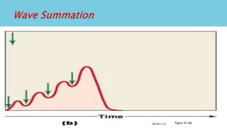  Increasing tension or summation of twitches
 Occurs if a muscle is stimulated again before full relaxation
 Repeated stimulations before the end of relaxation phase:
stimulus frequency > 50/second
 Causes increasing tension or summation of twitches
Figure 10–16bDR Phiri S B
 