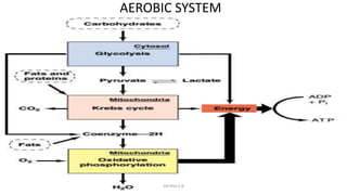 AEROBIC SYSTEM
DR Phiri S B
 