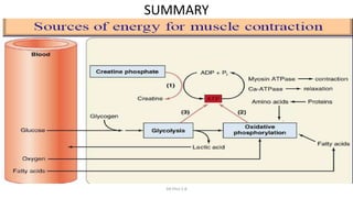 SUMMARY
DR Phiri S B
 