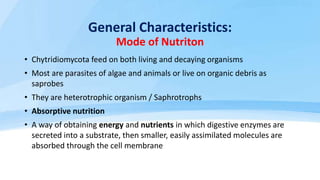 General Characteristics:
Mode of Nutriton
• Chytridiomycota feed on both living and decaying organisms
• Most are parasite...
