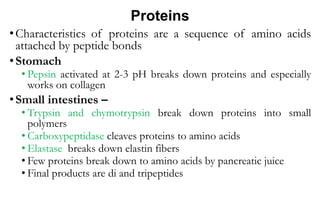 Proteins
•Characteristics of proteins are a sequence of amino acids
attached by peptide bonds
•Stomach
• Pepsin activated at 2-3 pH breaks down proteins and especially
works on collagen
•Small intestines –
• Trypsin and chymotrypsin break down proteins into small
polymers
• Carboxypeptidase cleaves proteins to amino acids
• Elastase breaks down elastin fibers
• Few proteins break down to amino acids by pancreatic juice
• Final products are di and tripeptides
 