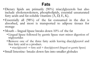 Fats
• Dietary lipids are primarily (90%) triacylglycerols but also
include cholesterolesters, phospholipids, essential unsaturated
fatty acids and fat-soluble vitamins (A, D, E, K).
• Essentially all (98%) of the fat consumed in the diet is
absorbed, and most is transported to adipose tissues for
storage
• Mouth – lingual lipase breaks down 10% of the fat
• Lingual lipase followed by gastric lipase start minor digestion of
triglycerides
• Remove one of the three fatty acids leaving diacylglycerol and
free fatty acid as a product.
• triacylglycerol → fatty acid + diacylglycerol (lingual or gastric lipase)
• Small Intestine- breaks down fats into smaller globules
 