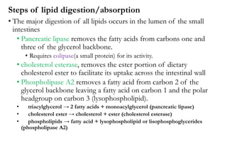 Steps of lipid digestion/absorption
• The major digestion of all lipids occurs in the lumen of the small
intestines
• Pancreatic lipase removes the fatty acids from carbons one and
three of the glycerol backbone.
• Requires colipase(a small protein) for its activity.
• cholesterol esterase, removes the ester portion of dietary
cholesterol ester to facilitate its uptake across the intestinal wall
• Phospholipase A2 removes a fatty acid from carbon 2 of the
glycerol backbone leaving a fatty acid on carbon 1 and the polar
headgroup on carbon 3 (lysophospholipid).
• triacylglycerol → 2 fatty acids + monoacylglycerol (pancreatic lipase)
• cholesterol ester → cholesterol + ester (cholesterol esterase)
• phospholipids → fatty acid + lysophospholipid or lisophosphoglycerides
(phospholipase A2)
 