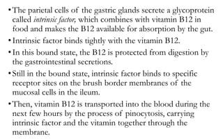•The parietal cells of the gastric glands secrete a glycoprotein
called intrinsic factor, which combines with vitamin B12 in
food and makes the B12 available for absorption by the gut.
•Intrinsic factor binds tightly with the vitamin B12.
•In this bound state, the B12 is protected from digestion by
the gastrointestinal secretions.
•Still in the bound state, intrinsic factor binds to specific
receptor sites on the brush border membranes of the
mucosal cells in the ileum.
•Then, vitamin B12 is transported into the blood during the
next few hours by the process of pinocytosis, carrying
intrinsic factor and the vitamin together through the
membrane.
 