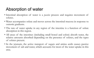 Absorption of water
• Intestinal absorption of water is a passive process and requires movement of
solutes.
• Water accompanies solute and moves across the intestinal mucosa in response to
osmotic gradients.
• The rate of water uptake in any region of the intestine is a function of solute
absorption in this region.
• All areas of the intestines (including small bowel and colon) absorb water, the
relative amounts absorbed depending on the presence of solutes, and the types
of solutes present.
• In the jejunum, the active transport of sugars and amino acids causes passive
movement of salt and water, which accounts for most of the water uptake in this
area.
 