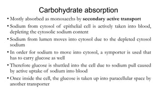 Carbohydrate absorption
• Mostly absorbed as monosacchs by secondary active transport
• Sodium from cytosol of epithelial cell is actively taken into blood,
depleting the cytosolic sodium content
• Sodium from lumen moves into cytosol due to the depleted cytosol
sodium
• In order for sodium to move into cytosol, a symporter is used that
has to carry glucose as well
• Therefore glucose is shuttled into the cell due to sodium pull caused
by active uptake of sodium into blood
• Once inside the cell, the glucose is taken up into paracellular space by
another transporter
 