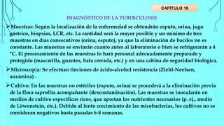 DIAGNÓSTICO DE LA TUBERCULOSIS
Muestras: Según la localización de la enfermedad se obtendrán esputo, orina, jugo
gástrico, biopsias, LCR, etc. La cantidad será la mayor posible y un mínimo de tres
muestras en días consecutivos (orina, esputo), ya que la eliminación de bacilos no es
constante. Las muestras se enviarán cuanto antes al laboratorio o bien se refrigerarán a 4
°C. El procesamiento de las muestras lo hará personal adecuadamente preparado y
protegido (mascarilla, guantes, bata cerrada, etc.) y en una cabina de seguridad biológica.
Microscopia: Se efectúan tinciones de ácido-alcohol resistencia (Ziehl-Neelsen,
auramina) .
Cultivo: En las muestras no estériles (esputo, orina) se procederá a la eliminación previa
de la flora saprofita acompañante (descontaminación). Las muestras se inocularán en
medios de cultivo específicos ricos, que aportan los nutrientes necesarios (p. ej., medio
de Löwenstein, etc.). Debido al lento crecimiento de las micobacterias, los cultivos no se
consideran negativos hasta pasadas 6-8 semanas.
CAPITULO 16
 
