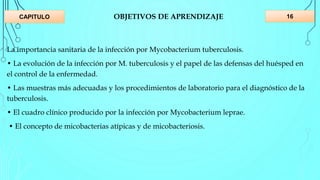 OBJETIVOS DE APRENDIZAJE
La importancia sanitaria de la infección por Mycobacterium tuberculosis.
• La evolución de la infección por M. tuberculosis y el papel de las defensas del huésped en
el control de la enfermedad.
• Las muestras más adecuadas y los procedimientos de laboratorio para el diagnóstico de la
tuberculosis.
• El cuadro clínico producido por la infección por Mycobacterium leprae.
• El concepto de micobacterias atípicas y de micobacteriosis.
16CAPITULO
 