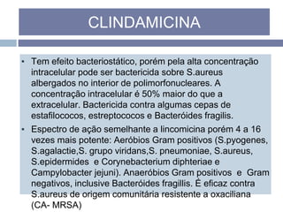 ▪ Tem efeito bacteriostático, porém pela alta concentração
intracelular pode ser bactericida sobre S.aureus
albergados no interior de polimorfonucleares. A
concentração intracelular é 50% maior do que a
extracelular. Bactericida contra algumas cepas de
estafilococos, estreptococos e Bacteróides fragilis.
▪ Espectro de ação semelhante a lincomicina porém 4 a 16
vezes mais potente: Aeróbios Gram positivos (S.pyogenes,
S.agalactie,S. grupo viridans,S. pneumoniae, S.aureus,
S.epidermides e Corynebacterium diphteriae e
Campylobacter jejuni). Anaeróbios Gram positivos e Gram
negativos, inclusive Bacteróides fragillis. É eficaz contra
S.aureus de origem comunitária resistente a oxaciliana
(CA- MRSA)
CLINDAMICINA
 