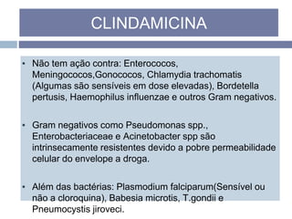 ▪ Não tem ação contra: Enterococos,
Meningococos,Gonococos, Chlamydia trachomatis
(Algumas são sensíveis em dose elevadas), Bordetella
pertusis, Haemophilus influenzae e outros Gram negativos.
▪ Gram negativos como Pseudomonas spp.,
Enterobacteriaceae e Acinetobacter spp são
intrinsecamente resistentes devido a pobre permeabilidade
celular do envelope a droga.
▪ Além das bactérias: Plasmodium falciparum(Sensível ou
não a cloroquina), Babesia microtis, T.gondii e
Pneumocystis jiroveci.
CLINDAMICINA
 