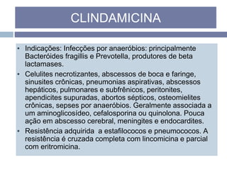 ▪ Indicações: Infecções por anaeróbios: principalmente
Bacteróides fragillis e Prevotella, produtores de beta
lactamases.
▪ Celulites necrotizantes, abscessos de boca e faringe,
sinusites crônicas, pneumonias aspirativas, abscessos
hepáticos, pulmonares e subfrênicos, peritonites,
apendicites supuradas, abortos sépticos, osteomielites
crônicas, sepses por anaeróbios. Geralmente associada a
um aminoglicosídeo, cefalosporina ou quinolona. Pouca
ação em abscesso cerebral, meningites e endocardites.
▪ Resistência adquirida a estafilococos e pneumococos. A
resistência é cruzada completa com lincomicina e parcial
com eritromicina.
CLINDAMICINA
 