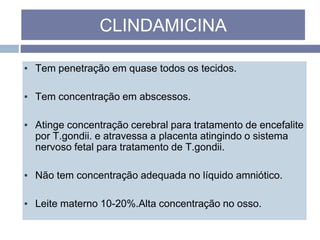 ▪ Tem penetração em quase todos os tecidos.
▪ Tem concentração em abscessos.
▪ Atinge concentração cerebral para tratamento de encefalite
por T.gondii. e atravessa a placenta atingindo o sistema
nervoso fetal para tratamento de T.gondii.
▪ Não tem concentração adequada no líquido amniótico.
▪ Leite materno 10-20%.Alta concentração no osso.
CLINDAMICINA
 