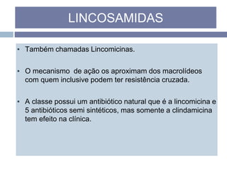 ▪ Também chamadas Lincomicinas.
▪ O mecanismo de ação os aproximam dos macrolídeos
com quem inclusive podem ter resistência cruzada.
▪ A classe possui um antibiótico natural que é a lincomicina e
5 antibióticos semi sintéticos, mas somente a clindamicina
tem efeito na clínica.
LINCOSAMIDAS
 