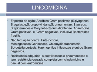 ▪ Espectro de ação: Aeróbios Gram positivos (S.pyogenes,
S.agalactie,S. grupo viridans,S. pneumoniae, S.aureus,
S.epidermides e Corynebacterium diphteriae. Anaeróbios
Gram positivos e Gram negativos, inclusive Bacteróides
fragillis.
▪ Não tem ação contra: Enterococos,
Meningococos,Gonococos, Chlamydia trachomatis,
Bordetella pertusis, Haemophilus influenzae e outros Gram
negativos.
▪ Resistência adquirida a estafilococos e pneumococos e
tem resistência cruzada completa com clindamicina e
parcial com eritromicina.
LINCOMICINA
 