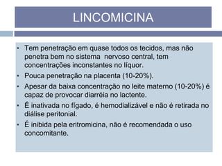 ▪ Tem penetração em quase todos os tecidos, mas não
penetra bem no sistema nervoso central, tem
concentrações inconstantes no líquor.
▪ Pouca penetração na placenta (10-20%).
▪ Apesar da baixa concentração no leite materno (10-20%) é
capaz de provocar diarréia no lactente.
▪ É inativada no fígado, é hemodializável e não é retirada no
diálise peritonial.
▪ É inibida pela eritromicina, não é recomendada o uso
concomitante.
LINCOMICINA
 