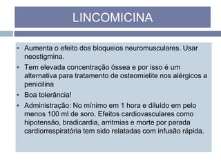▪ Aumenta o efeito dos bloqueios neuromusculares. Usar
neostigmina.
▪ Tem elevada concentração óssea e por isso é um
alternativa para tratamento de osteomielite nos alérgicos a
penicilina
▪ Boa tolerância!
▪ Administração: No mínimo em 1 hora e diluído em pelo
menos 100 ml de soro. Efeitos cardiovasculares como
hipotensão, bradicardia, arritmias e morte por parada
cardiorrespiratória tem sido relatadas com infusão rápida.
LINCOMICINA
 