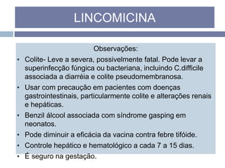 Observações:
▪ Colite- Leve a severa, possivelmente fatal. Pode levar a
superinfecção fúngica ou bacteriana, incluindo C.difficile
associada a diarréia e colite pseudomembranosa.
▪ Usar com precaução em pacientes com doenças
gastrointestinais, particularmente colite e alterações renais
e hepáticas.
▪ Benzil álcool associada com síndrome gasping em
neonatos.
▪ Pode diminuir a eficácia da vacina contra febre tifóide.
▪ Controle hepático e hematológico a cada 7 a 15 dias.
▪ É seguro na gestação.
LINCOMICINA
 
