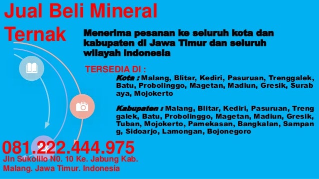 Mineral Sapi Perah Mineral Ternak Mineral Ternak Spi Mineral Pakan