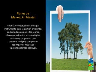 Los PMA constituyen el principal 
instrumento para la gestión ambiental, 
en la medida en que ellos reúnen 
el conjunto de criterios, estrategias, 
acciones y programas para 
prevenir, mitigar y compensar 
los impactos negativos 
y potencializar los positivos. 
Planes de 
Manejo Ambiental  