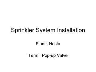 Sprinkler System Installation Plant:  Hosta Term:  Pop-up Valve 