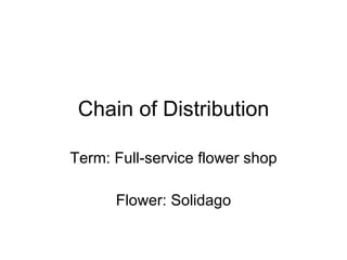 Chain of Distribution Term: Full-service flower shop Flower: Solidago 