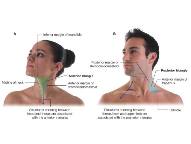 10 neck masses - copy