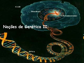 Noções de Genética II:
 