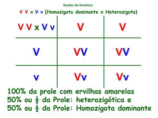 Noções de Genética:
V V x V v V V
V VV VV
v Vv Vv
V V x V v (Homozigoto dominante x Heterozigoto)
100% da prole com ervilhas amarelas
50% ou ½ da Prole: heterozigótica e
50% ou ½ da Prole: Homozigota dominante
 