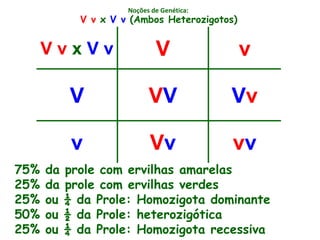Noções de Genética:
V v x V v V v
V VV Vv
v Vv vv
V v x V v (Ambos Heterozigotos)
75% da prole com ervilhas amarelas
25% da prole com ervilhas verdes
25% ou ¼ da Prole: Homozigota dominante
50% ou ½ da Prole: heterozigótica
25% ou ¼ da Prole: Homozigota recessiva
 