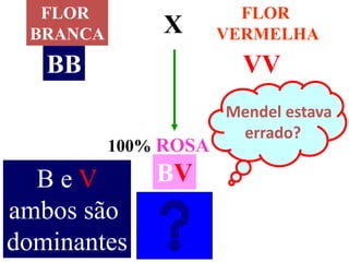 FLOR
BRANCA
FLOR
VERMELHAX
100% ROSA
Mendel estava
errado?
BB VV
BVB e V
ambos são
dominantes
 
