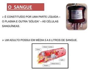 O SANGUE
 É CONSTITUÍDO POR UMA PARTE LÍQUIDA –
O PLASMA E OUTRA “SÓLIDA” – AS CÉLULAS
SANGUÍNEAS.
 UM ADULTO POSSUI EM MÉDIA 5 A 6 LITROS DE SANGUE.
 