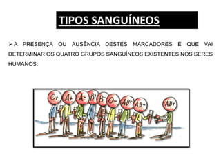 A PRESENÇA OU AUSÊNCIA DESTES MARCADORES É QUE VAI
DETERMINAR OS QUATRO GRUPOS SANGUÍNEOS EXISTENTES NOS SERES
HUMANOS:
TIPOS SANGUÍNEOS
 