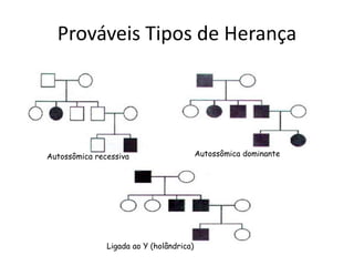 Prováveis Tipos de Herança
Autossômica recessiva Autossômica dominante
Ligada ao Y (holândrica)
 