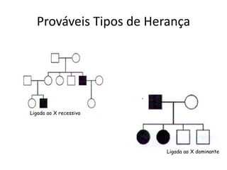 Prováveis Tipos de Herança
Ligada ao X recessiva
Ligada ao X dominante
 