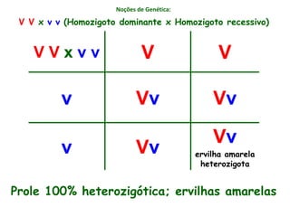 Noções de Genética:
V V x v v V V
v Vv Vv
v Vv
Vv
ervilha amarela
heterozigota
V V x v v (Homozigoto dominante x Homozigoto recessivo)
Prole 100% heterozigótica; ervilhas amarelas
 