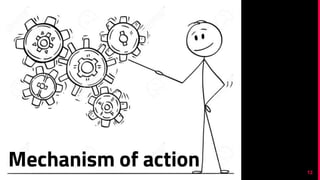 12
Mechanism of action
 