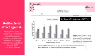 14
Antibacterial
effect against..
E. faecalis:
aqueous Ca(OH)2 paste and silicone oil-based Ca(OH)2 (Han et
al; 2001).
E. faecalis: Portenier et al. (2005)
Exponential growth phase: most sensitive to Ca(OH)2,
can be killed within 3 s to 10 min.
Stationary phase: more resistant,
(living cells being recovered at 10 min)
Starvation phase: most resistant
E. faecalis (strain A197A)
Kayaoglu G, Erten H,
Ørstavik D. Growth at
high pH increases
Enterococcus faecalis
adhesion to collagen.
International endodontic
journal. 2005
Jun;38(6):389-96.
 