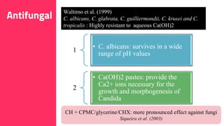 22
Waltimo et al. (1999)
C. albicans, C. glabrata, C. guilliermondii, C. krusei and C.
tropicalis : Highly resistant to aqueous Ca(OH)2
1
• C. albicans: survives in a wide
range of pH values
2
• Ca(OH)2 pastes: provide the
Ca2+ ions necessary for the
growth and morphogenesis of
Candida
Antifungal
CH + CPMC/glycerine/CHX: more pronounced effect against fungi
Siqueira et al. (2003)
 