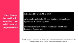 9
Hard tissue
formation in
root fracture
with coronal
pulp necrosis
Introduced by Cvek M in 1974
A large clinical study: 68 root fractures with calcium
hydroxide (Cvek et al; 2004)
Drawback: takes 6 months to induce a hard tissue
barrier at fracture site
Cvek M, Me`jare I, Andreasen JO. Conservative endodontic treatment of teeth fractured in the
middle or apical part of the root. Dent Traumatol 2004;20:261–9.
 